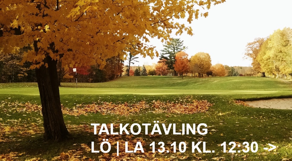 You are currently viewing Talkotävling